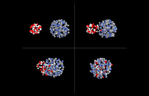 Image showing a smaller nucleus fusing with a larger one Image showing a smaller nucleus fusing with a larger one