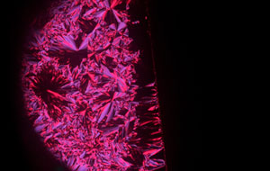 Image of columnar liquid crystals