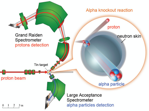 Image of experimental schematic