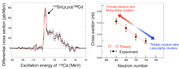 Image of experimental results