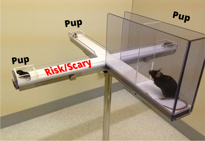 Image of the experimental setup