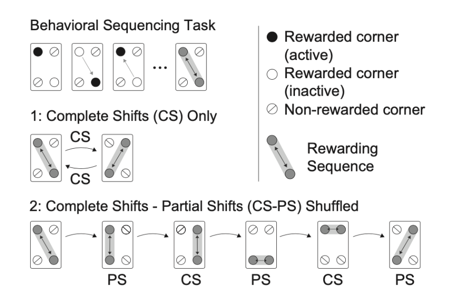 Schematic explaining learning tasks