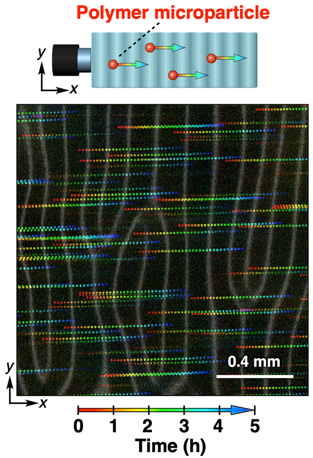 Photo showing the motion of particles through the material following the wave