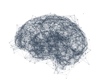 image of neural network in the brain