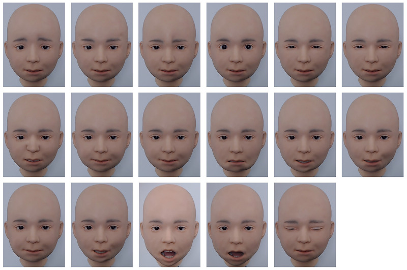 Image showing facial action units