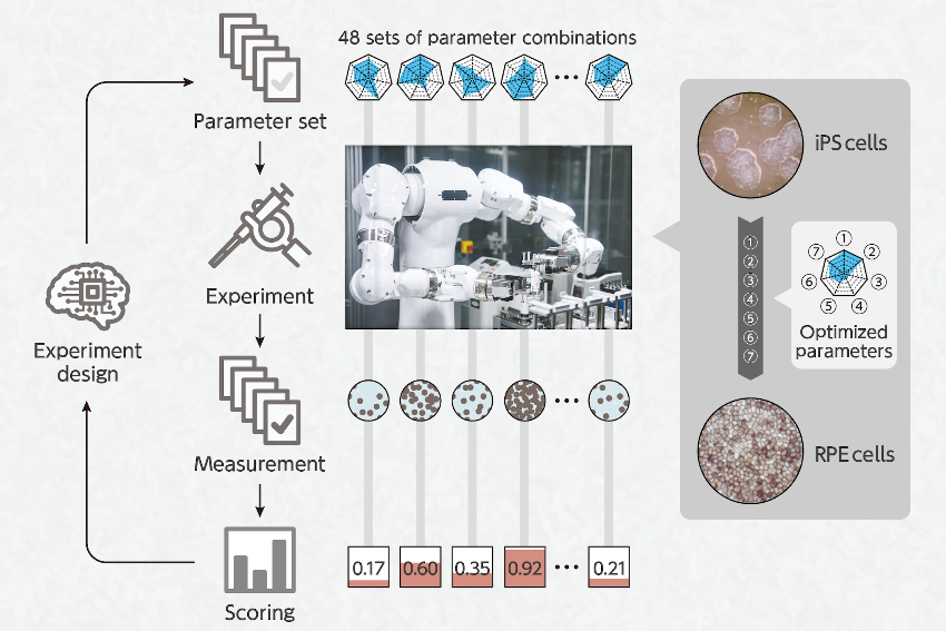 Schematic showing the workflow of the robotic search system