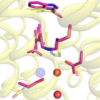 image of light-induced changes in structure near a chloride ion 