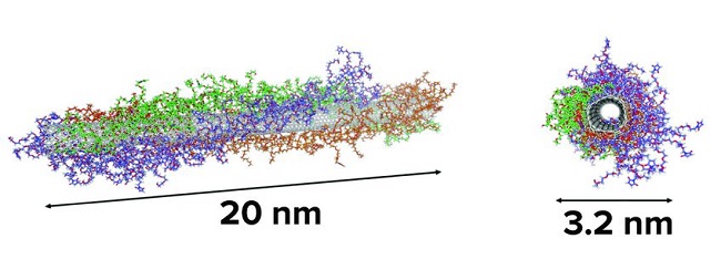 image of nanotube coated with three peptide molecules