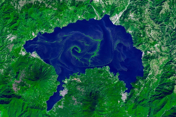 image of Algal blooms 