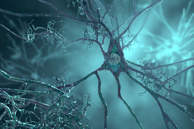 image of neurons