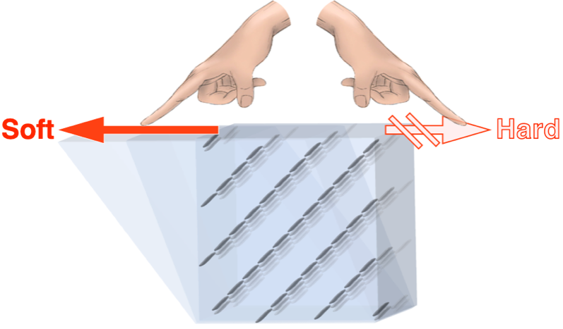 image of a hydrogel