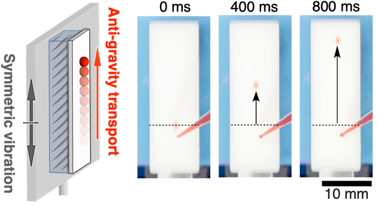 schematic showing the application of the hydrogel