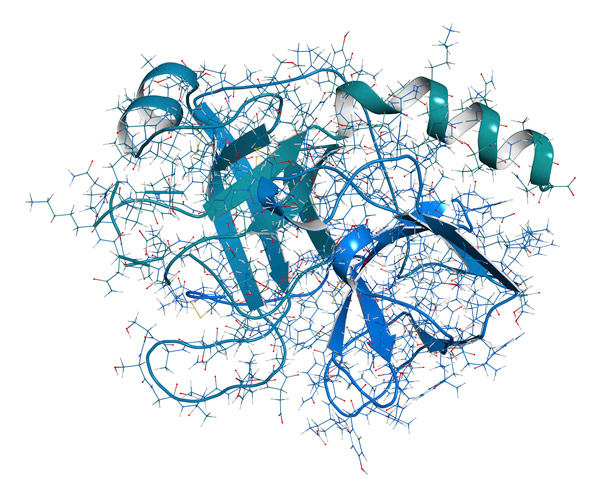 image of the molecular structure of trypsin