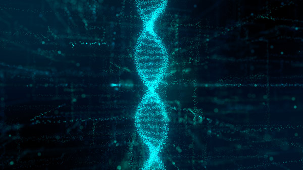 image of DNA