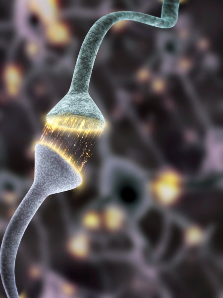 image of synapses
