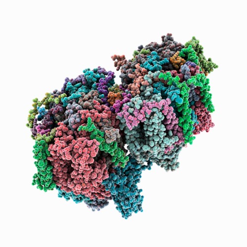 image of photosystem II complex