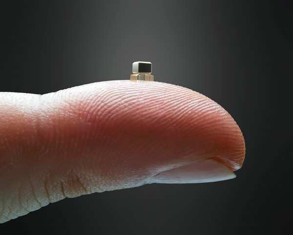 image of a microchip