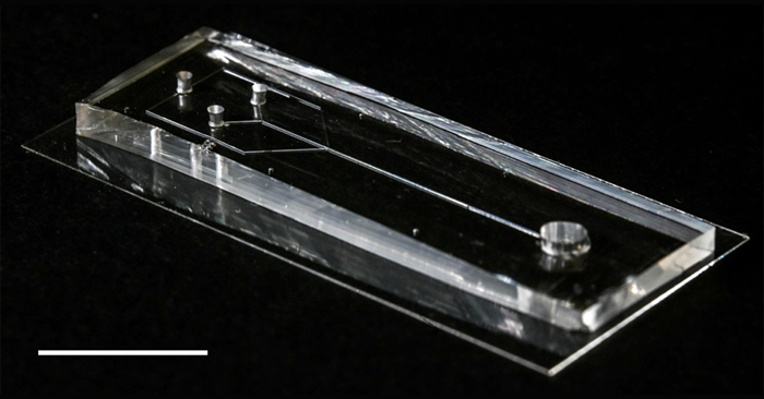 image of mivrofluidic device