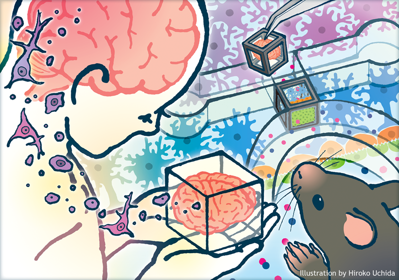 illustration of the Tissue-in-a-CUBE and a mouse