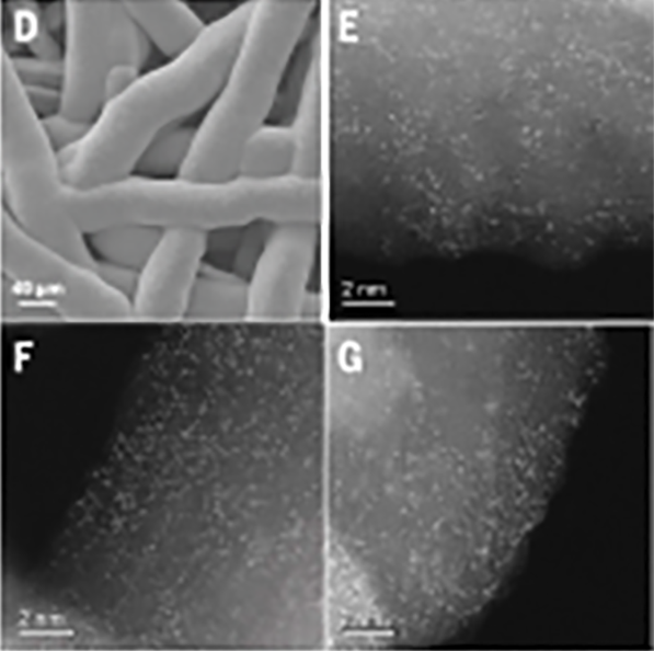 Scanning electron microscope image of the synthesized iridium oxide