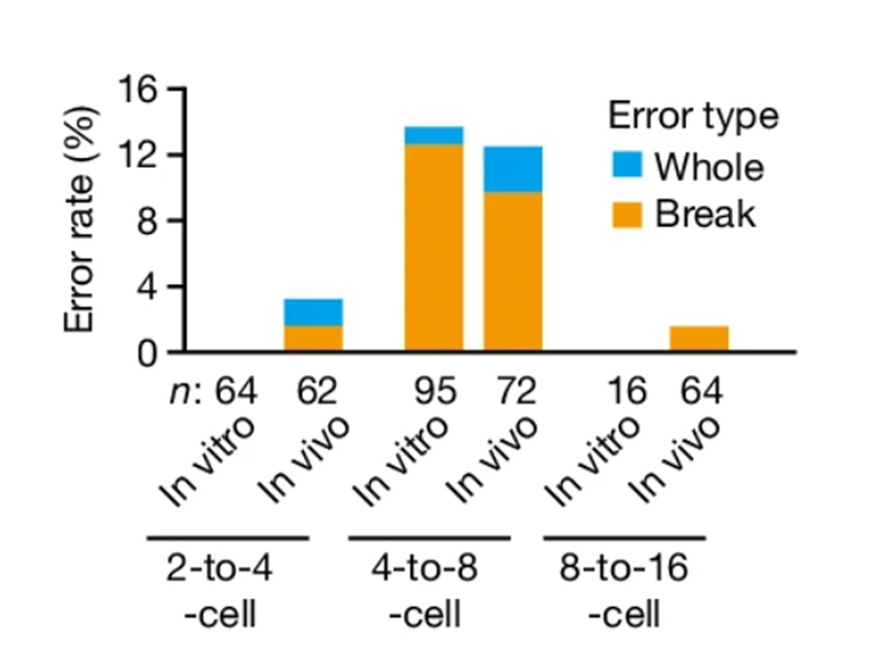 graph showing the error rate by by embryo types