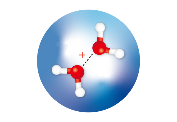 image of water dimer cations within helium nanodroplets