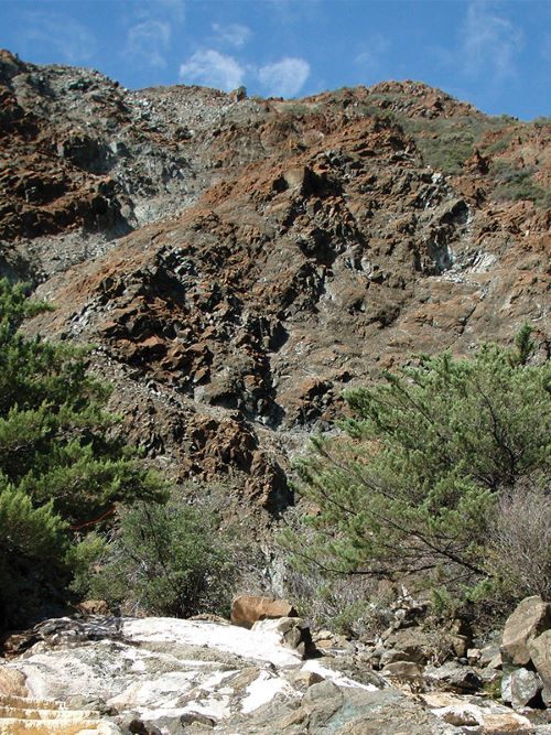 image of the Ceders