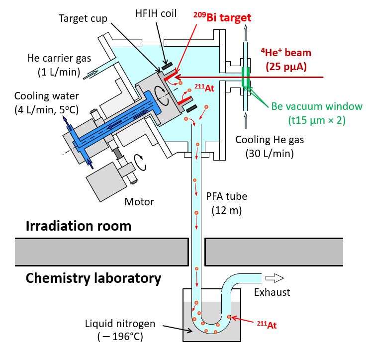 illustration of the newly developed astatine-211 production system