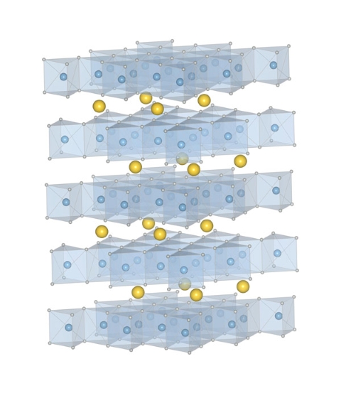 image of the compensated antiferromagnet