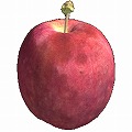 ヒメリンゴの画像